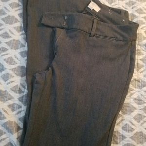 Loft Outlet Petite Pant